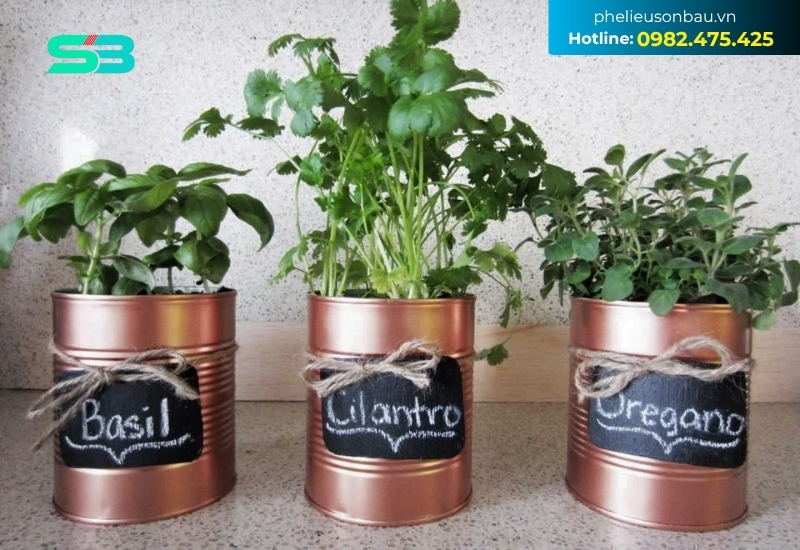 Một số lưu ý cần thiết để đảm bảo chất lượng và độ bền của chậu hoa Một số lưu ý cần thiết để đảm bảo chất lượng và độ bền của chậu hoa
