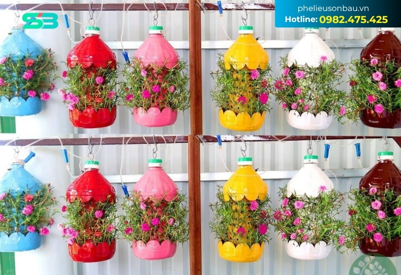 Chậu hoa được làm từ chai nhựa và sơn